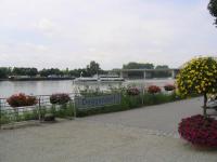 T_donau